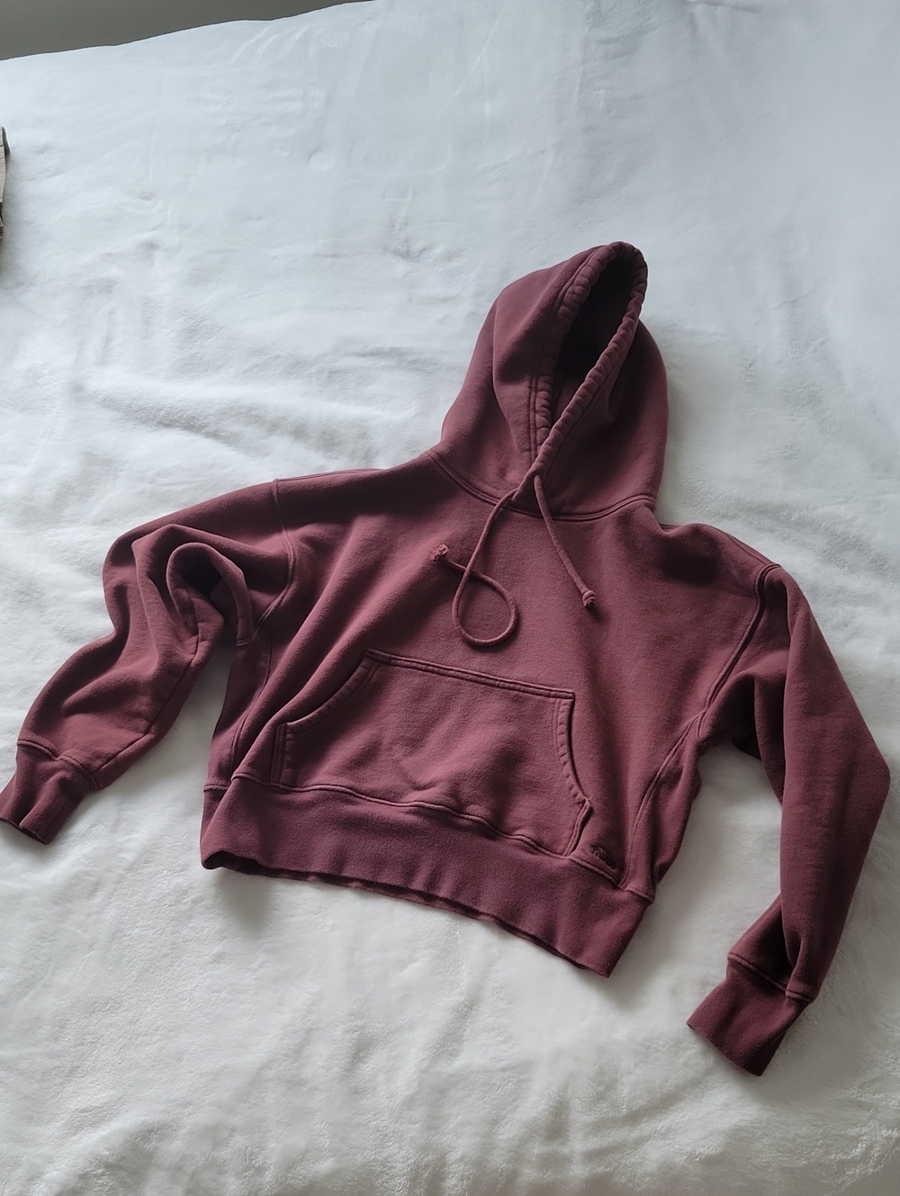 Aritzia Cropped Hooded Sweatshirt in Dusty Plum